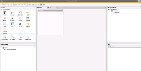 SAP用戶(hù)窗體頁(yè)面