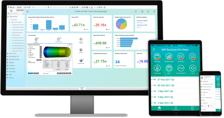 SAP儀器儀表制造業ERP系統